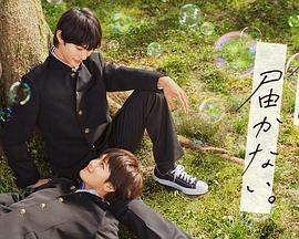 琪琪伦理在线海报剧照