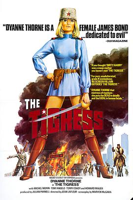 泰国红糖童话村海报剧照